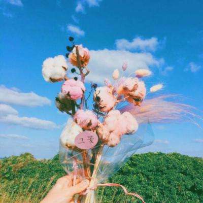 米乐下载地址app下载